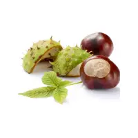 Horse Chestnut Extract Aescin