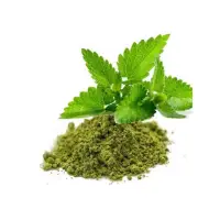 Tulsi Extract