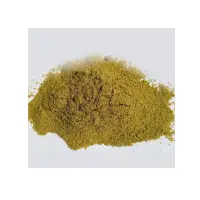 Vasaka Extract