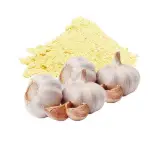 Garlic Extract