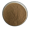 Ginkgo Biloba Extract