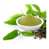 Green Tea Extract