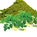 Moringa Leaf Extract