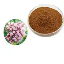 Valeriana Extract