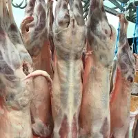 Halal Lamb