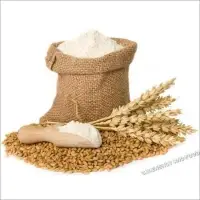 Wheat Flour Fresh or Chakki Fresh Atta