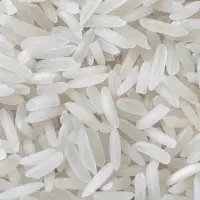 Sona Masoori Raw Rice