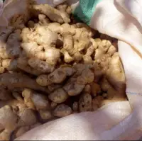 Fresh Ginger