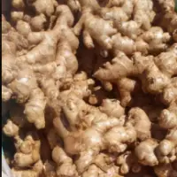 Fresh Ginger