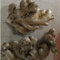 Fresh Ginger