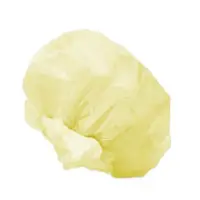 Bouffant Cap