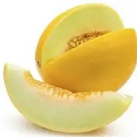 Sun Melon