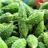 Bitter Gourd (Karela)