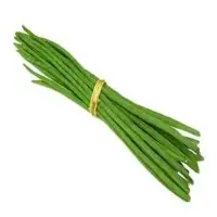 Drum Stick