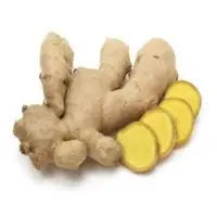 Ginger