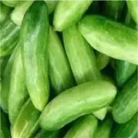 IVY Gourd