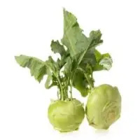 Kohlrabi