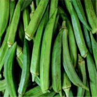 Ladyfinger (Okra)