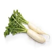 Raddish