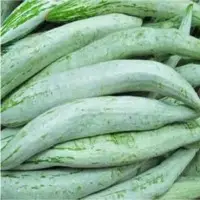 Snake Gourd