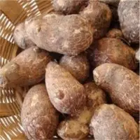 Taro (Arvi)