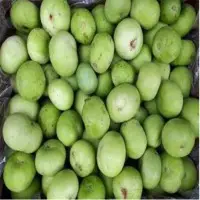 Tindora