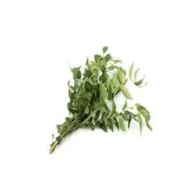 Curry Leaves