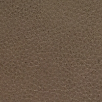 Finished Leather
