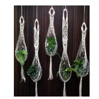 Plant Hanger