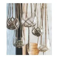 Plant Hanger