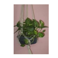 Plant Hanger