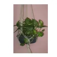 Plant Hanger