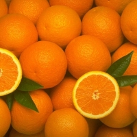 Naveline Oranges