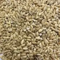 Hulled Barley