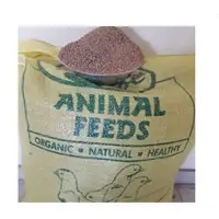 Poultry Feed - Layer Ration