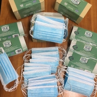 3 Ply Disposable Medical Masks Type Ii  5 Pieces