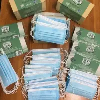 3 Ply Disposable Medical Masks Type Ii  5 Pieces