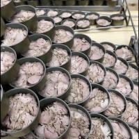 Canned Tuna ( In Vegetable Oil/Water)