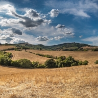 Zeolite For Soil Conditioning