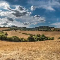 Zeolite For Soil Conditioning