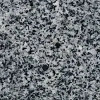 Pokostovsky Granite (Gray Ukraine)