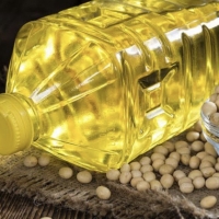 Refined Soybean Oil