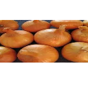 White Onion