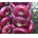 Red Onion