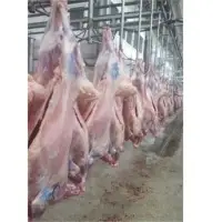 Chilled Lamb Full Carcass