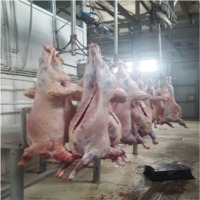 Lamb Meat
