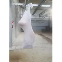 Chilled Lamb Full Carcass