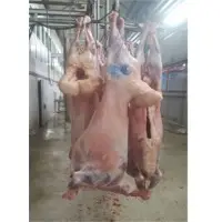 Halal Chilled Lamb Full Carcass