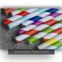 Disposable Paper Straw