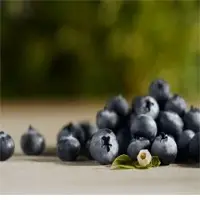 Blueberry